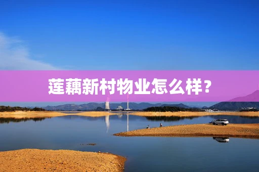 莲藕新村物业怎么样？