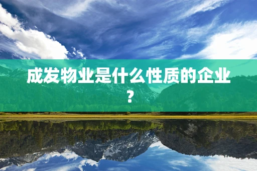 成发物业是什么性质的企业？