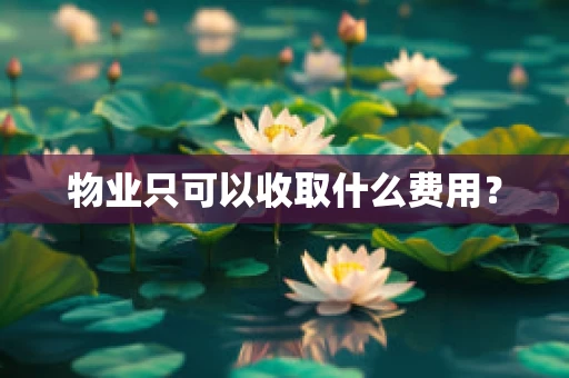物业只可以收取什么费用？