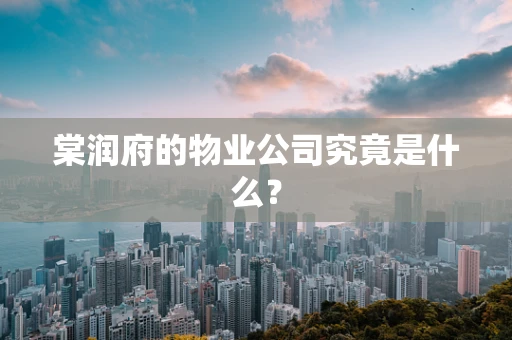 棠润府的物业公司究竟是什么？
