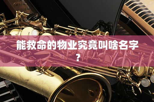 能救命的物业究竟叫啥名字？