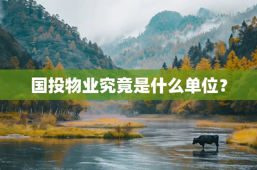 国投物业究竟是什么单位？