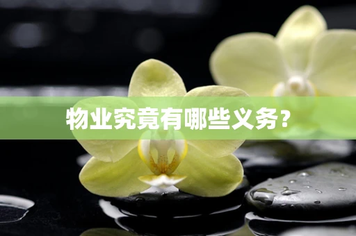 物业究竟有哪些义务？