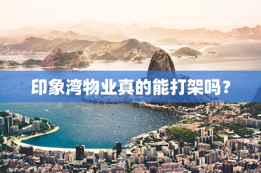印象湾物业真的能打架吗？