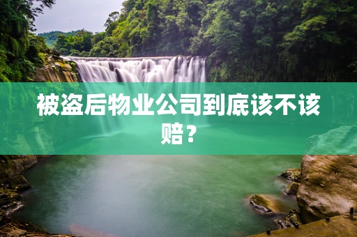 被盗后物业公司到底该不该赔？