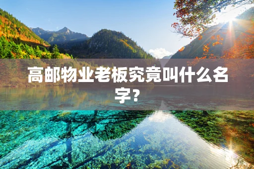 高邮物业老板究竟叫什么名字？