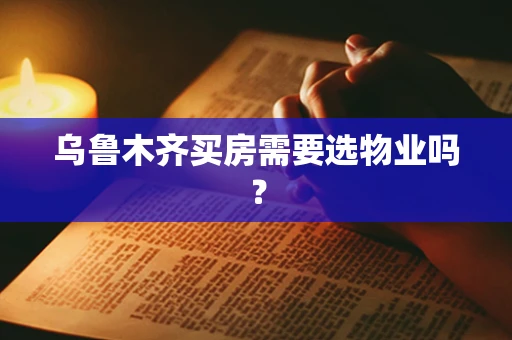 乌鲁木齐买房需要选物业吗？