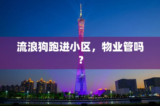 流浪狗跑进小区，物业管吗？