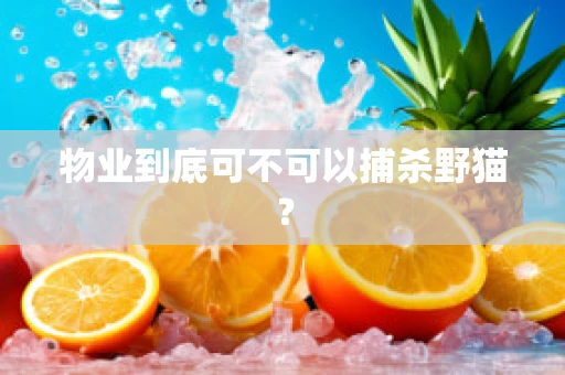 物业到底可不可以捕杀野猫？
