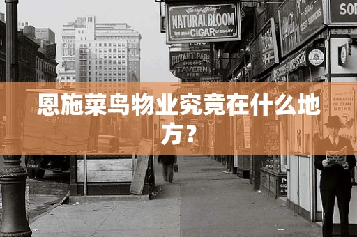 恩施菜鸟物业究竟在什么地方？