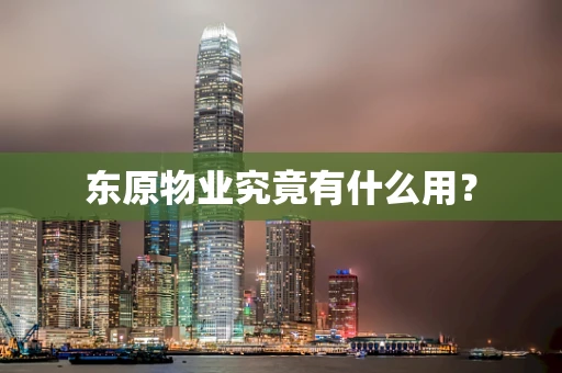 东原物业究竟有什么用？