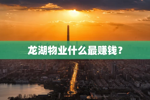 龙湖物业什么最赚钱？