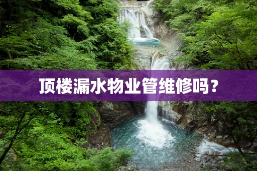 顶楼漏水物业管维修吗？