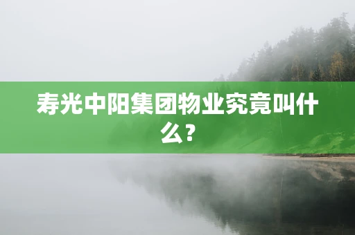 寿光中阳集团物业究竟叫什么？