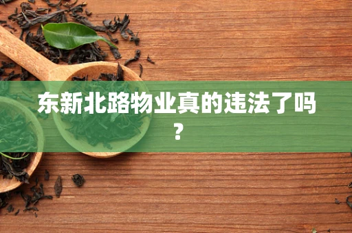 东新北路物业真的违法了吗？