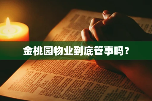 金桃园物业到底管事吗？