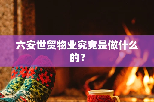 六安世贸物业究竟是做什么的？