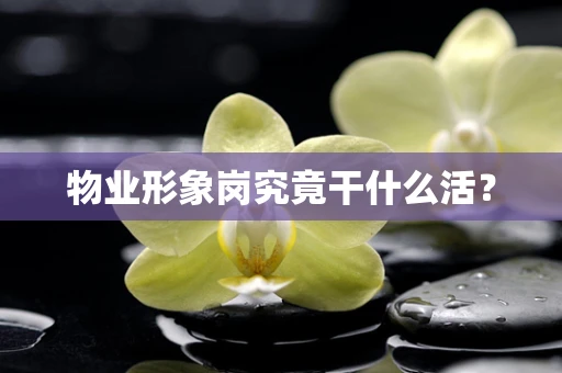 物业形象岗究竟干什么活？