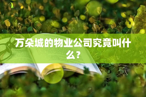 万朵城的物业公司究竟叫什么？