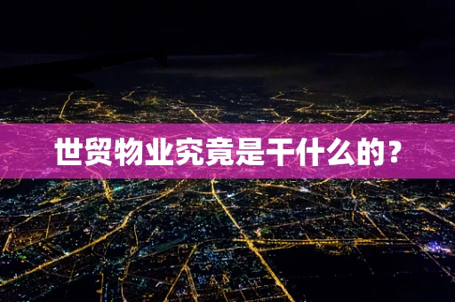 世贸物业究竟是干什么的？