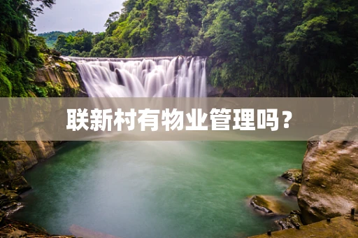 联新村有物业管理吗？
