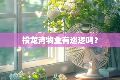 投龙湾物业有巡逻吗？
