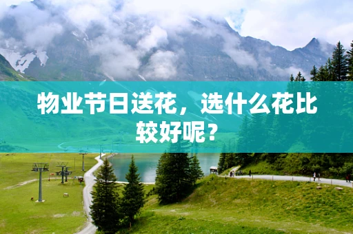 物业节日送花，选什么花比较好呢？