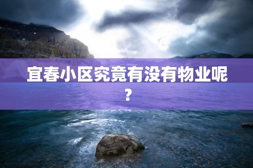 宜春小区究竟有没有物业呢？