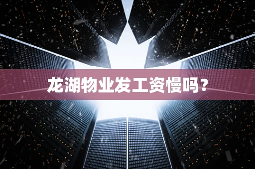 龙湖物业发工资慢吗？