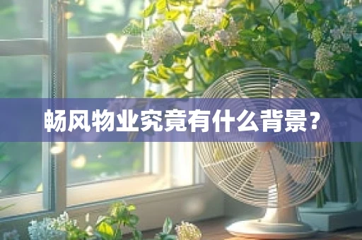 畅风物业究竟有什么背景？