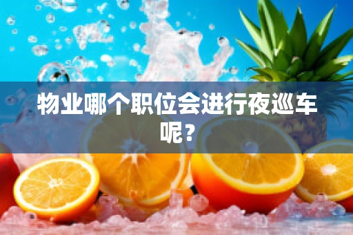 物业哪个职位会进行夜巡车呢？