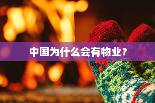 中国为什么会有物业？