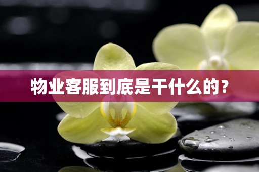 物业客服到底是干什么的？