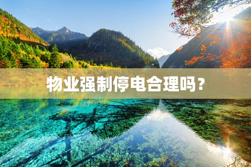 物业强制停电合理吗？