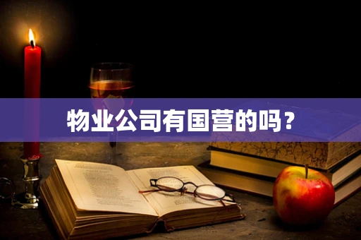 物业公司有国营的吗？