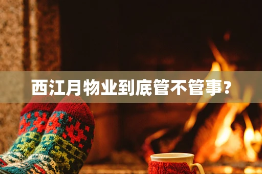西江月物业到底管不管事？