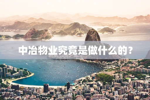 中冶物业究竟是做什么的？