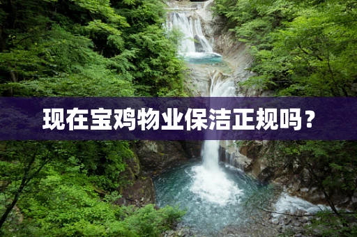 现在宝鸡物业保洁正规吗？