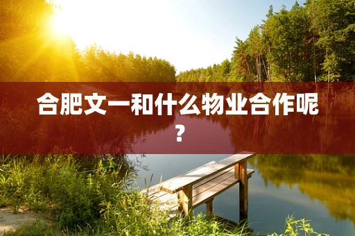 合肥文一和什么物业合作呢？