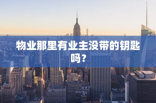 物业那里有业主没带的钥匙吗？