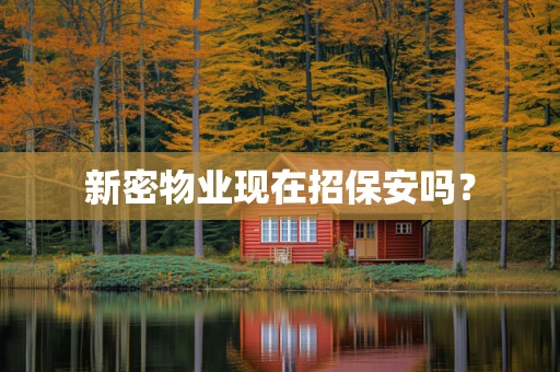 新密物业现在招保安吗？