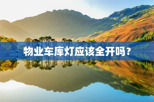 物业车库灯应该全开吗？
