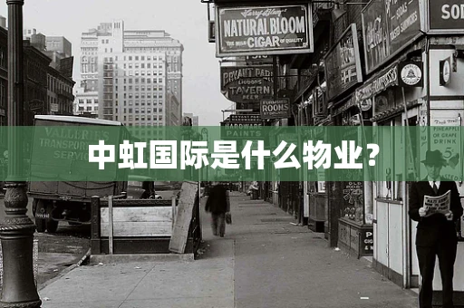 中虹国际是什么物业？