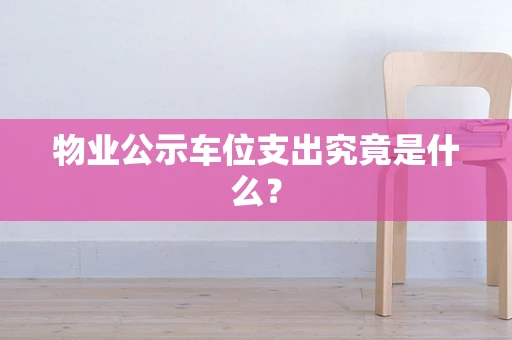 物业公示车位支出究竟是什么？
