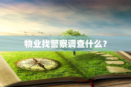 物业找警察调查什么？