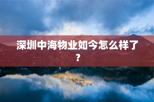 深圳中海物业如今怎么样了？