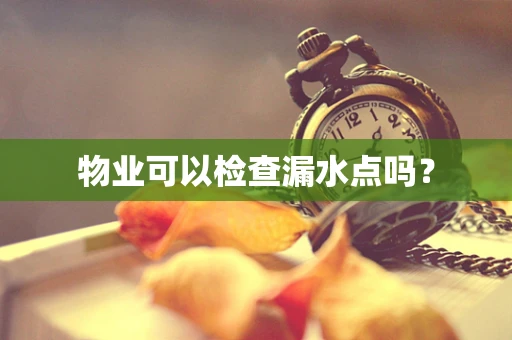 物业可以检查漏水点吗？