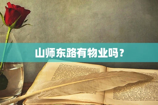 山师东路有物业吗？