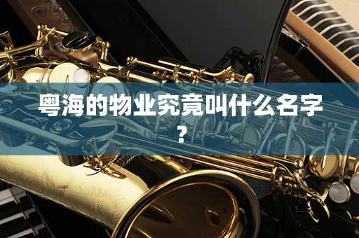 粤海的物业究竟叫什么名字？