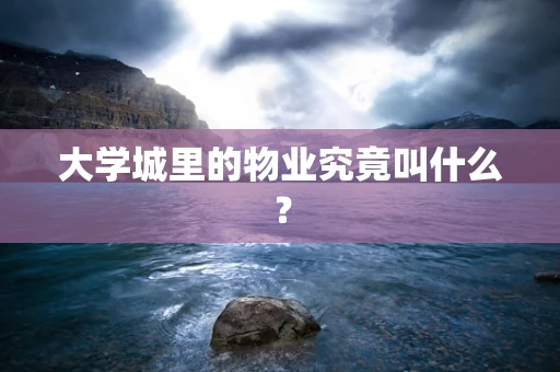 大学城里的物业究竟叫什么？